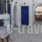 Akrogiali Studios & Rooms_best prices_in_Room_Cyclades Islands_Antiparos_Antiparos Chora