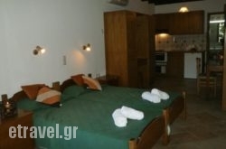 Eva Studios hollidays Eva Studios hollidays