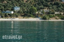 Virgin Mary hollidays Virgin Mary hollidays