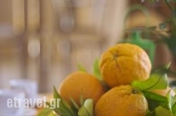 Villa Orange Tree hollidays