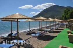 Apollon Hotel hollidays Apollon Hotel hollidays