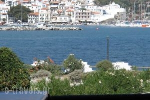 Studios Elpiniki_holidays_in_Hotel_Sporades Islands_Skopelos_Skopelos Chora