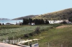 Stork Apartments hollidays Stork Apartments hollidays