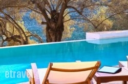 Villa Amoudia hollidays