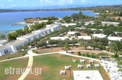 Club Ermioni hollidays Club Ermioni hollidays