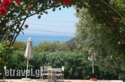 Asteris Village hollidays Asteris Village hollidays