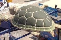 George Apartments hollidays George Apartments hollidays