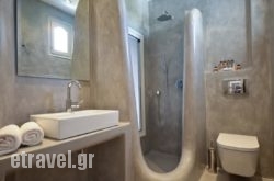 The Saint Vlassis hollidays The Saint Vlassis hollidays