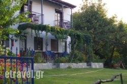 Mirsini Apartments hollidays