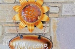 Xalonia Seaview hollidays