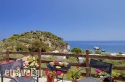 Palia Damouhari hollidays Palia Damouhari hollidays