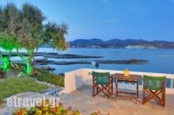 Aigialia hollidays Aigialia hollidays