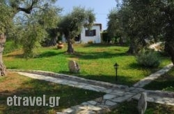 Saint Andrews Bay hollidays