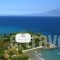 Paradisso Beach Villas_lowest prices_in_Villa_Ionian Islands_Zakinthos_Alykes