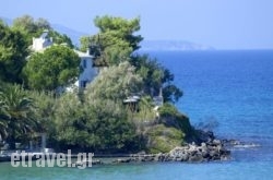 Paradisso Beach Villas hollidays Paradisso Beach Villas hollidays