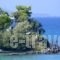 Paradisso Beach Villas_accommodation_in_Villa_Ionian Islands_Zakinthos_Alykes