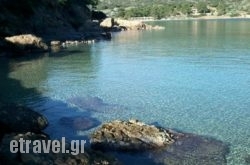 Olvia Studio hollidays Olvia Studio hollidays