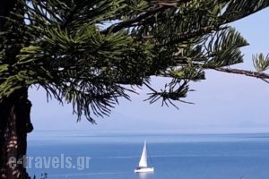 Gina Studios_lowest prices_in_Hotel_Ionian Islands_Corfu_Corfu Rest Areas
