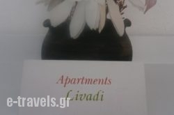 Livadi Apartments  