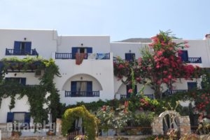 Nostos Studios_best prices_in_Hotel_Cyclades Islands_Amorgos_Amorgos Chora