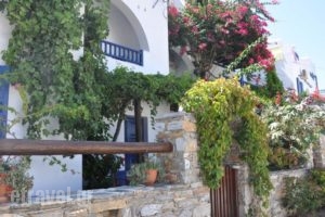 Nostos Studios_lowest prices_in_Hotel_Cyclades Islands_Amorgos_Amorgos Chora