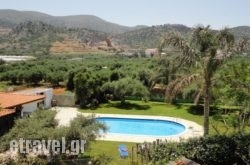 Ibiscus Hotel Malia hollidays Ibiscus Hotel Malia hollidays