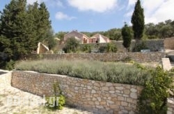 Studios Kirki hollidays