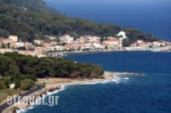 Pansion Maria hollidays Pansion Maria hollidays