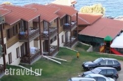 Wooden Nest hollidays