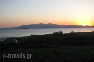 Aronis_best deals_Hotel_Cyclades Islands_Naxos_Naxos chora