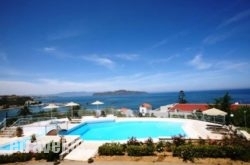 Terpsichori hollidays Terpsichori hollidays