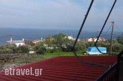 Paradies hollidays Paradies hollidays