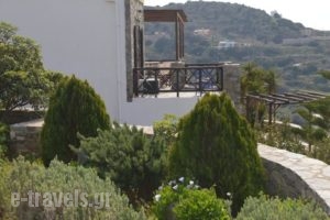 Syrou Lotos_lowest prices_in_Hotel_Cyclades Islands_Syros_Posidonia