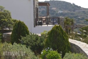 Syrou Lotos_lowest prices_in_Hotel_Cyclades Islands_Syros_Posidonia