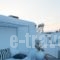 Orpheas Rooms_best deals_Room_Cyclades Islands_Mykonos_Mykonos ora