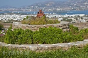 Antiparos View_lowest prices_in_Hotel_Cyclades Islands_Antiparos_Antiparos Chora
