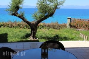 Avia_best deals_Hotel_Thessaly_Magnesia_Koropi