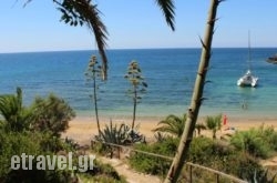 Dionisis Apartments hollidays