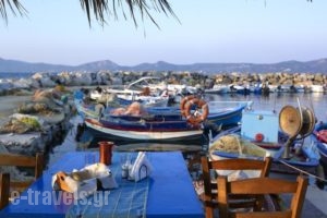 Aeolis Apartments & Studios_best prices_in_Apartment_Aegean Islands_Lesvos_Agios Isidoros