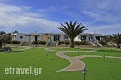 Anemones Studios hollidays