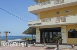 Akrothalassia hollidays Akrothalassia hollidays