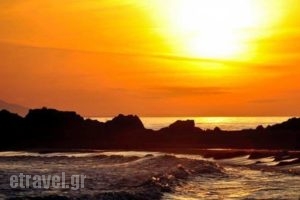 Soulis Hotel_accommodation_in_Hotel_Peloponesse_Ilia_Arkoudi