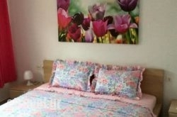 Nitsa Rooms hollidays Nitsa Rooms hollidays