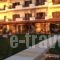 Christaras Apartments_best prices_in_Apartment_Macedonia_Halkidiki_Vourvourou