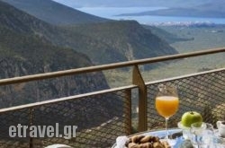 Nidimos Hotel hollidays Nidimos Hotel hollidays