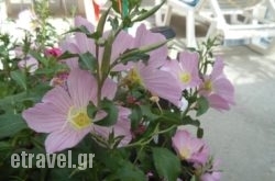 Pansion Giorgos & Rania hollidays