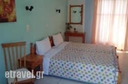 Anessis Studios hollidays