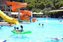 Magdas Kamares hollidays