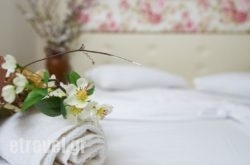 Hotel Viky hollidays Hotel Viky hollidays