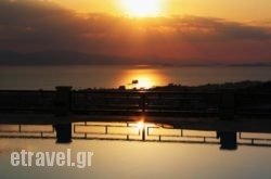 Villa Diana hollidays